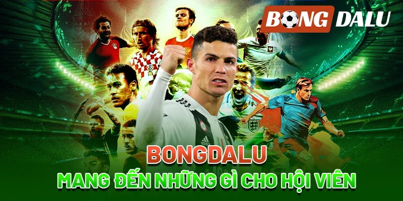 Bí quyết sử dụng thông tin từ bongdalu để tối ưu hiệu quả cá cược