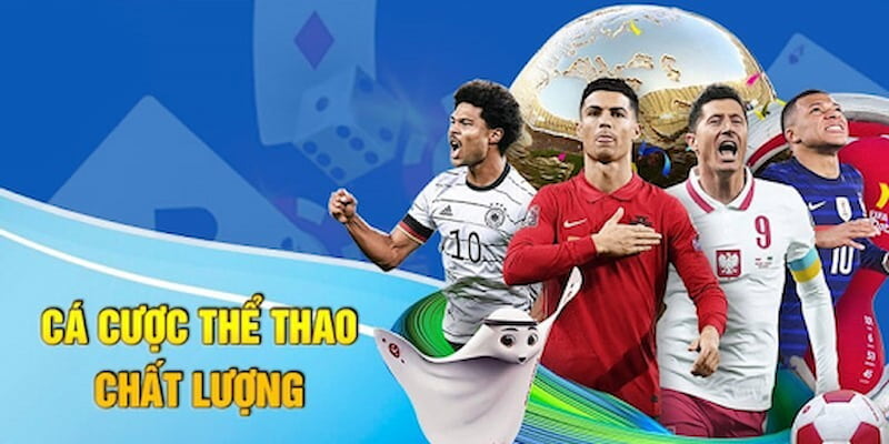Chiến thuật cược hiệu quả khi sử dụng thông tin từ 7m kèo nhà cái