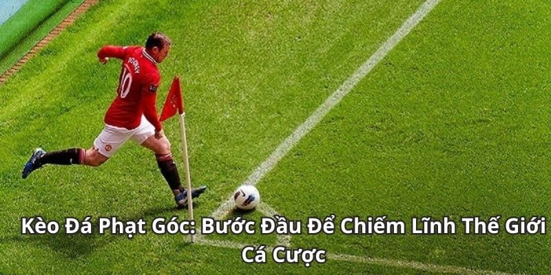 Tổng quan về kèo phạt góc trong hệ thống kèo nhà cái